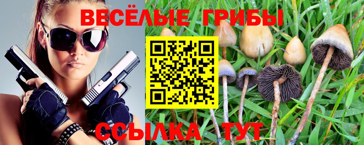 Псилоцибиновые грибы Psilocybe  Вход с VPN  цены наркотик  Грязи 